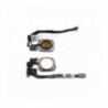 Flex De Boton Home Para IPHONE 5S /5 SE