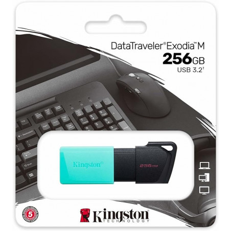 Memoria Usb 3.2 Kingston Datatraveler Exodia M Onyx 256gb