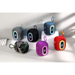 Radio Parlante RGB Marca T&G TG664