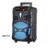 NDR P44 P55 P66, altavoz Portátil con Bluetooth