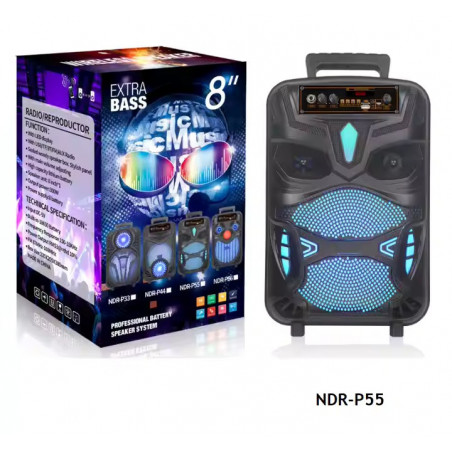 NDR P44 P55 P66, altavoz Portátil con Bluetooth