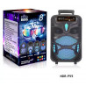 NDR P44 P55 P66, altavoz Portátil con Bluetooth