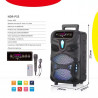 NDR P44 P55 P66, altavoz Portátil con Bluetooth