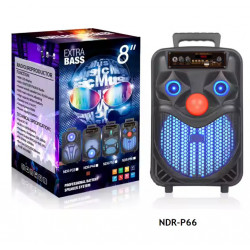 NDR P44 P55 P66, altavoz Portátil con Bluetooth