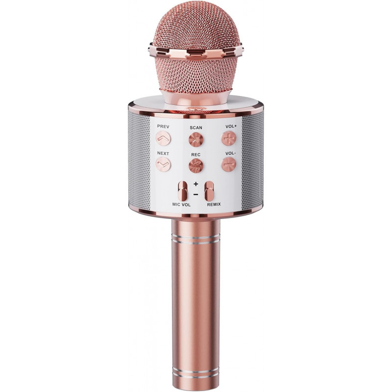 Handheld KTV Wireless Microphone WS-858
