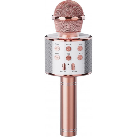 Handheld KTV Wireless Microphone WS-858