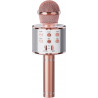 Handheld KTV Wireless Microphone WS-858