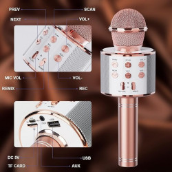 Handheld KTV Wireless Microphone WS-858