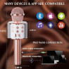 Handheld KTV Wireless Microphone WS-858
