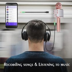 Handheld KTV Wireless Microphone WS-858
