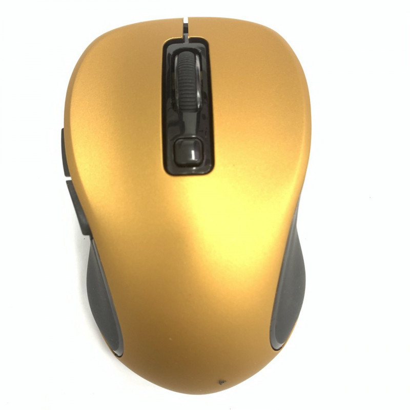 Wireless Mouse G1307E