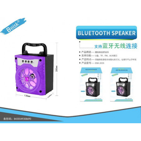 ALTAVOZ BSK-2019 VIOLETA