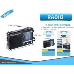 RADIO BSK-2024