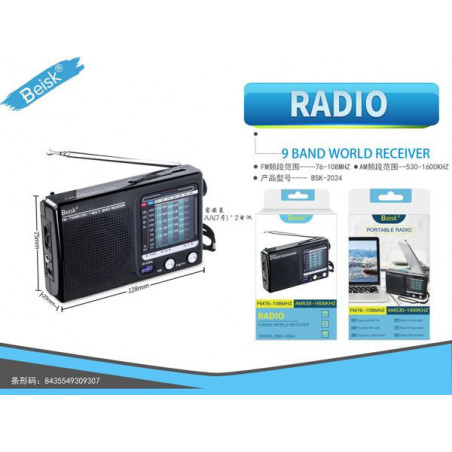 RADIO BSK-2024