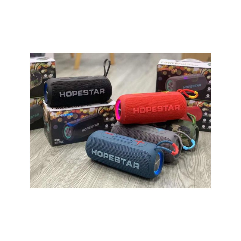 ALTAVOZ HOPESTAR P26