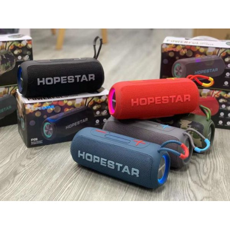 ALTAVOZ HOPESTAR P26
