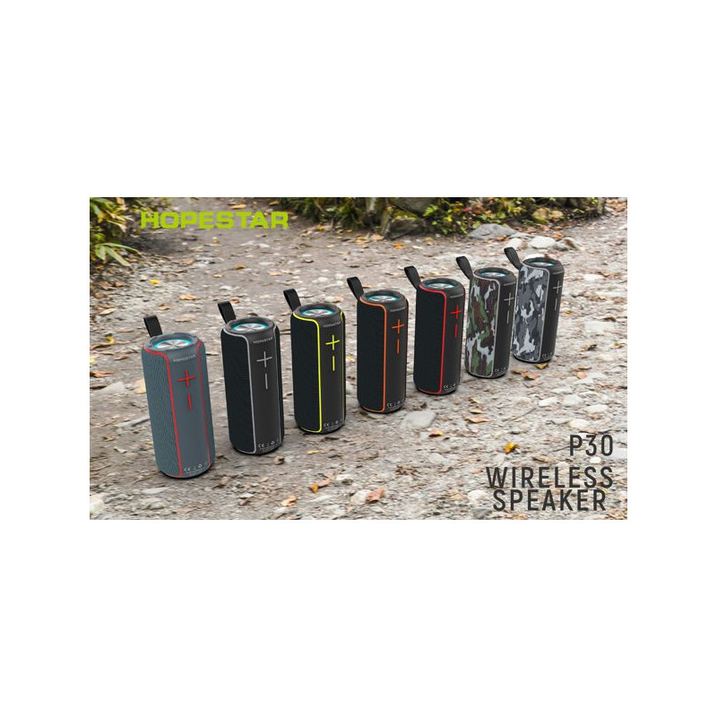 ALTAVOZ HOPESTAR P30