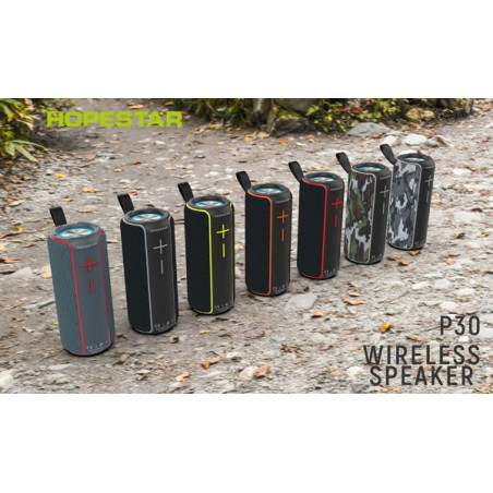 ALTAVOZ HOPESTAR P30