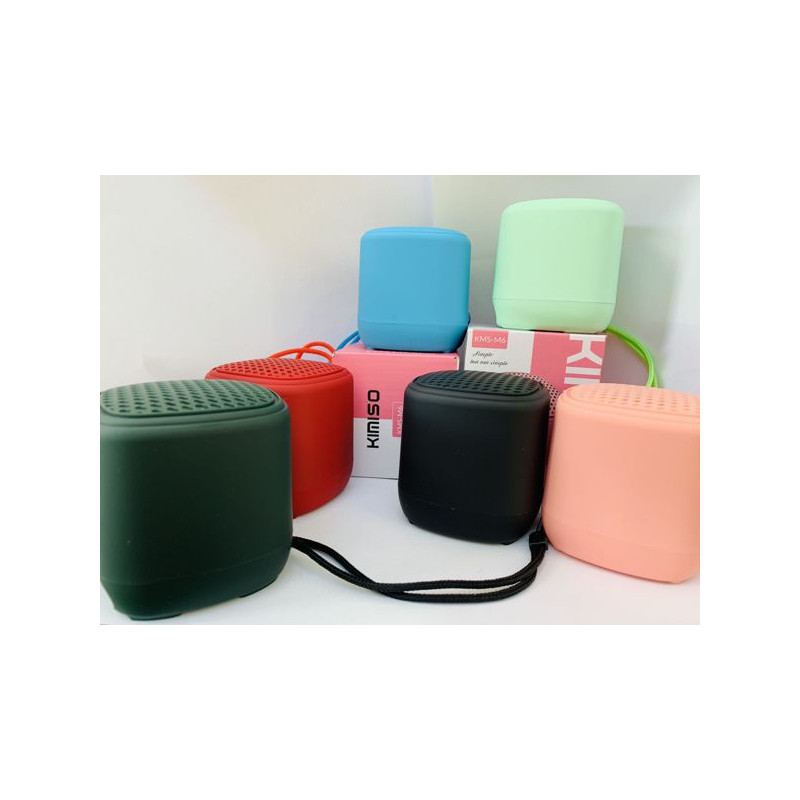 ALTAVOZ M6