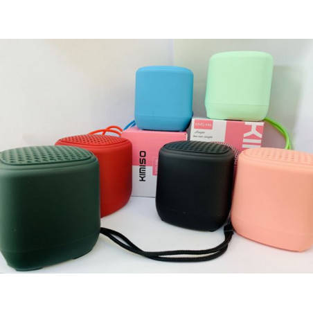 ALTAVOZ M6