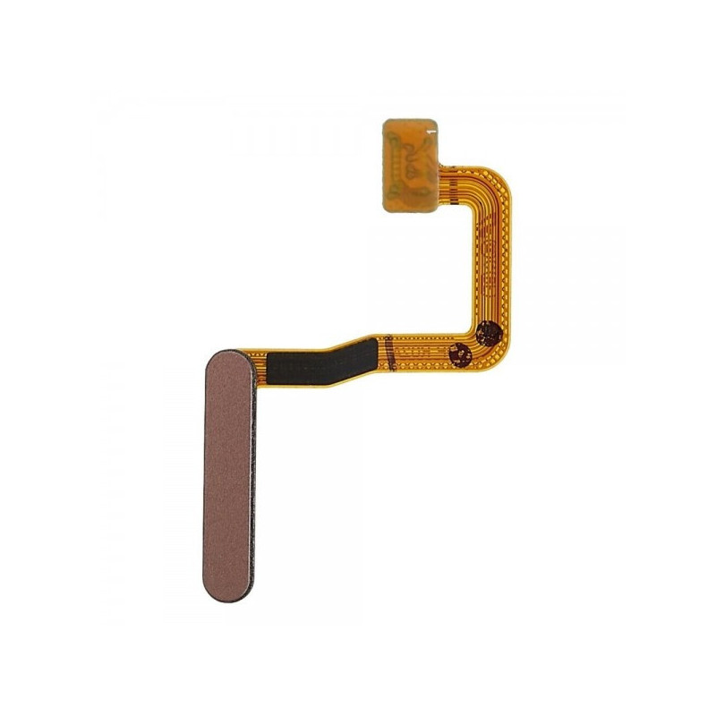 Boton Home + Flex + Sensor Huella Samsung Galaxy Z Fold 2 5G F916